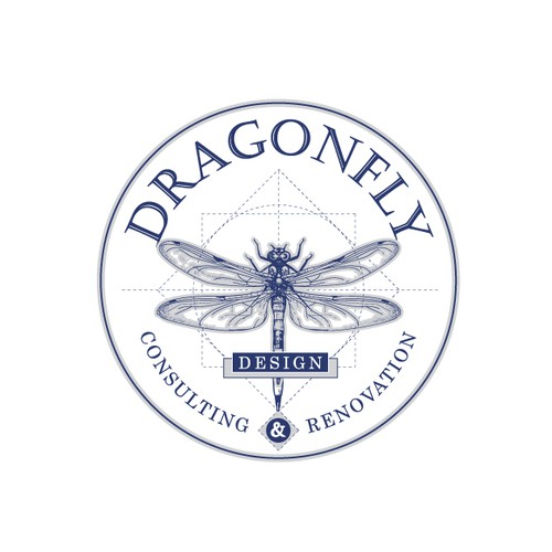 Sapphire logo with the title 'Dragonfly'