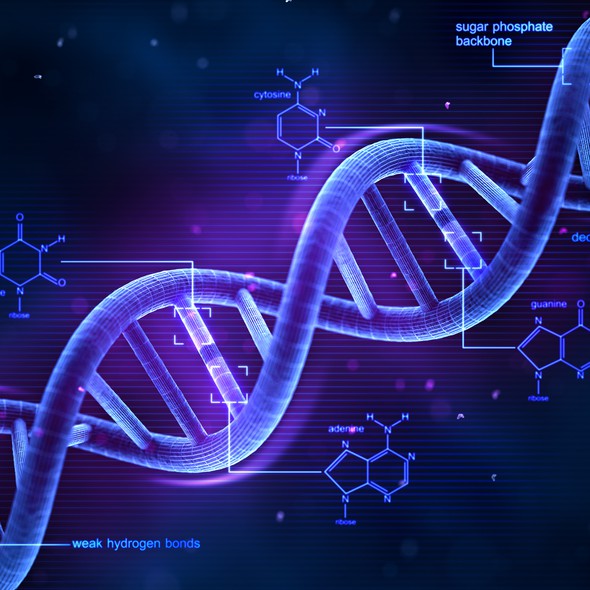 Formula design with the title 'DNA'