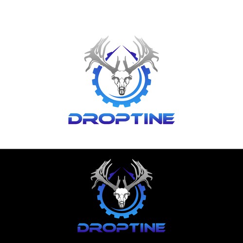 Self storage logo with the title 'DROPTINE'