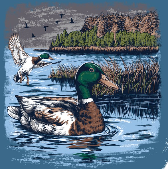 Hunting t-shirt with the title 'Mallard Duck custom artwork'