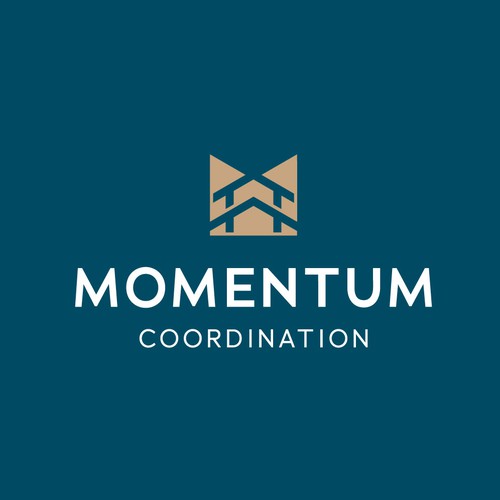 Real logo with the title 'MOMENTUM'