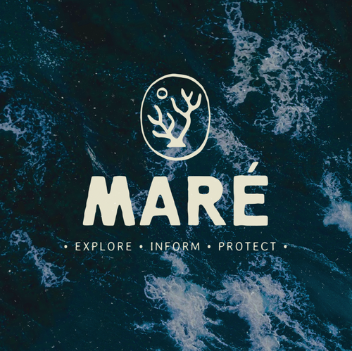 Marine logo with the title 'MARÉ'