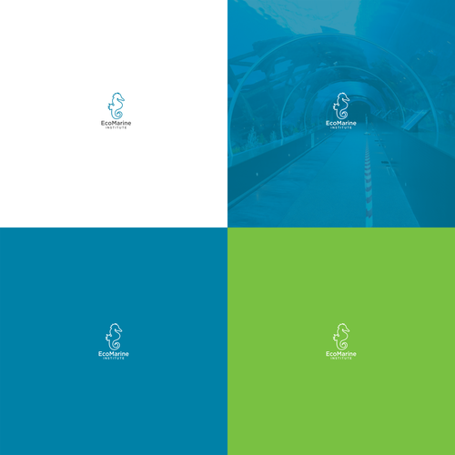 White brand with the title 'EcoMarine Institute'