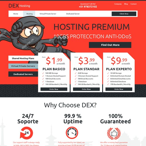 Hosting design with the title 'Ninja Web Hosting'
