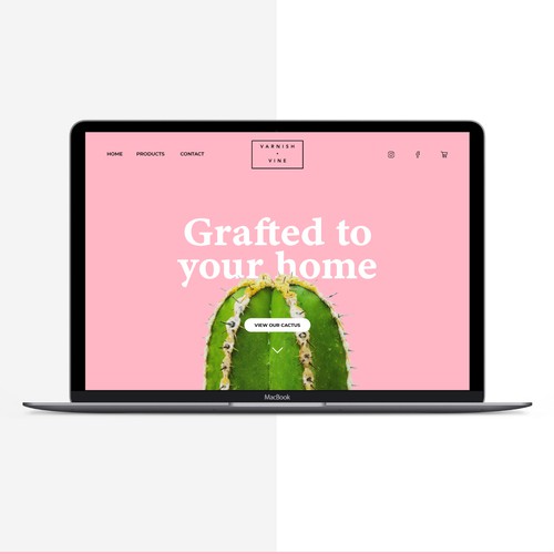 Contemporary website with the title 'Homepage for Cactus Webshop'