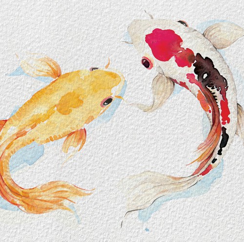 Koi design with the title 'Email'