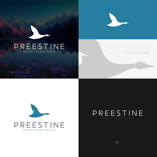 Goose logo with the title 'Design an empowering logo for a global personal care brand'