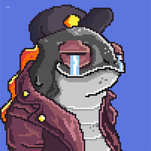 Turtle illustration with the title 'Funky Salamanders 1'