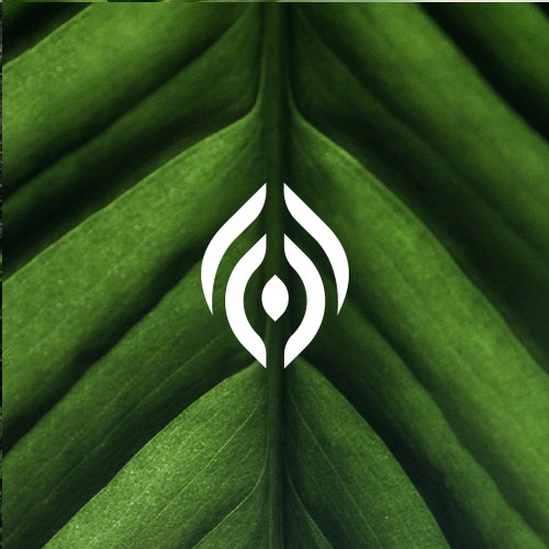 Ff logo with the title 'FieldsFresh'