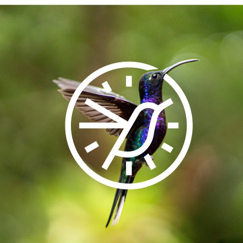 Colibri logo with the title 'Oneness Simplify'