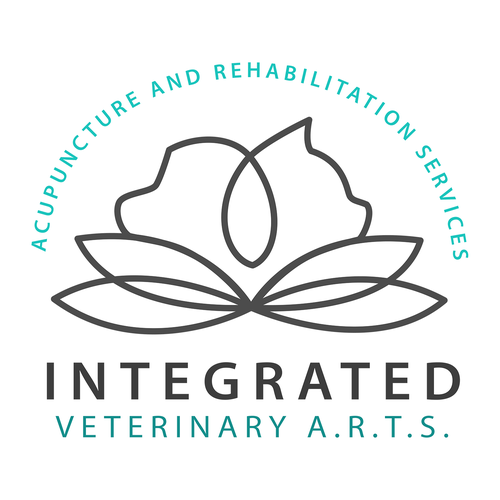 Veterinary brand with the title 'Unique and eye catching logo for holistic pet practise'