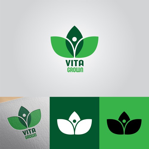 Pot design with the title 'Logo Design for Vita'