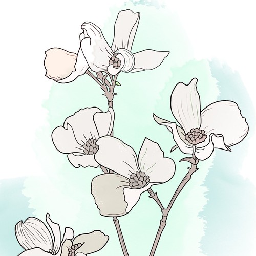 Line artwork with the title 'Illustration flower'