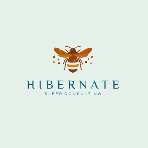 Sleep logo with the title 'Hibernate'