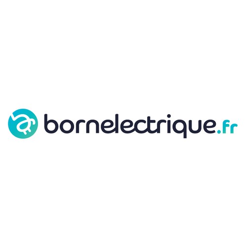 Pictogram design with the title 'bornelectrique.fr'
