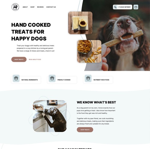 Basket design with the title 'Dogs food shop homepage'