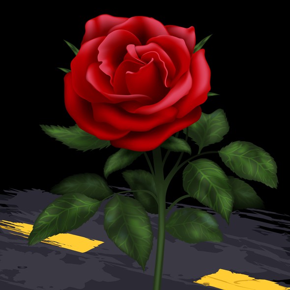 Street illustration with the title 'Vector Rose'