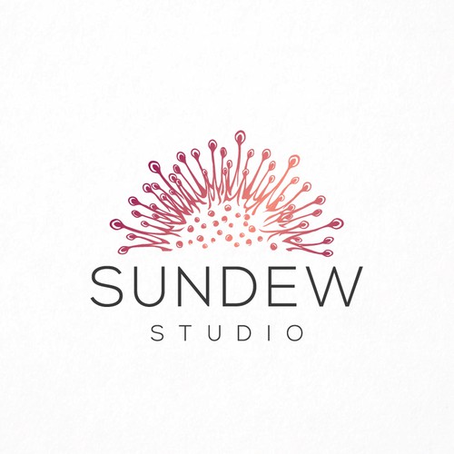 Yoga logo with the title 'Modern Sundew Plant Logo'
