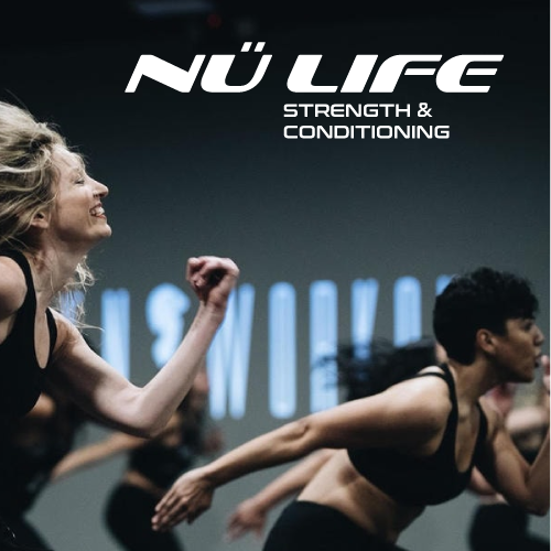 Gym brand with the title 'Modern fitness logo'