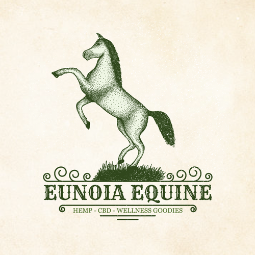 Equine design with the title 'Eunoia Equine fun Eunoia Equine needs a fun and memand memorable and detailed logo'