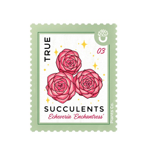 Succulent design with the title ' pegatina para un vivero de plantas'