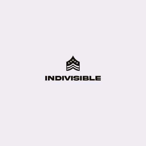 American flag logo with the title 'INDIVISIBLE'