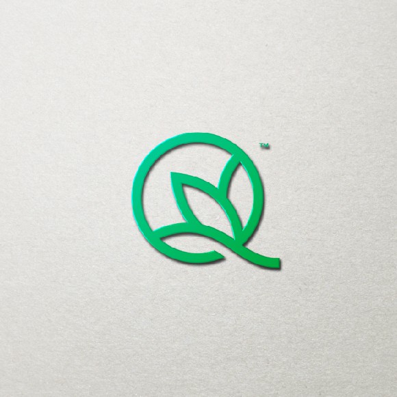 Abstract modern logo with the title 'Minimalist Line-Art Design for Cannabis CFO Accounting'