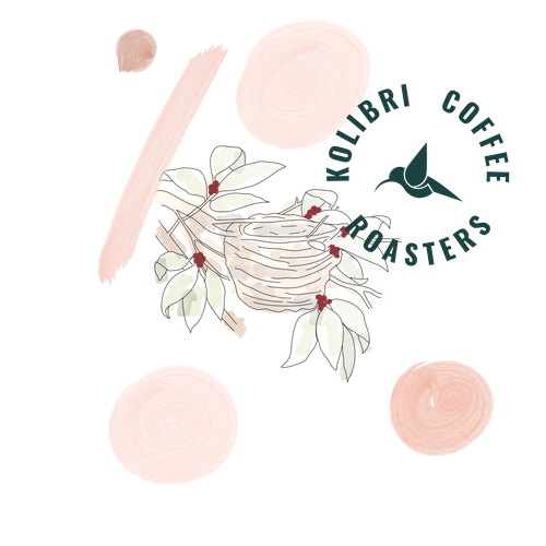 Packaging illustration with the title 'Logo for coffee box.'