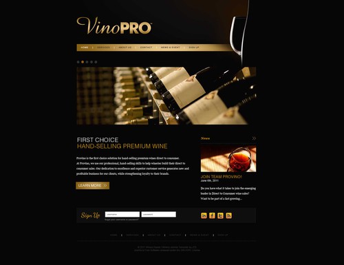Wine website with the title 'VinoPRO website design'