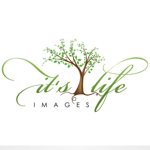 Whimsical logo with the title 'Tree Of Life '