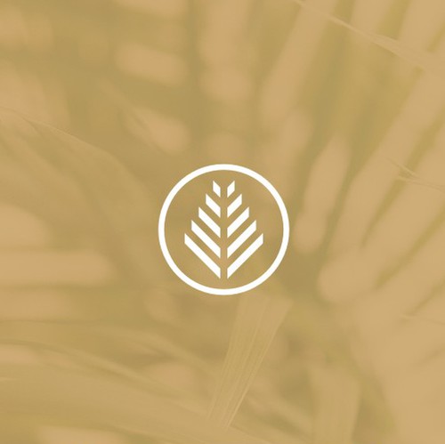 Pyramid logo with the title 'Minimalist Design for Dorado Palms'