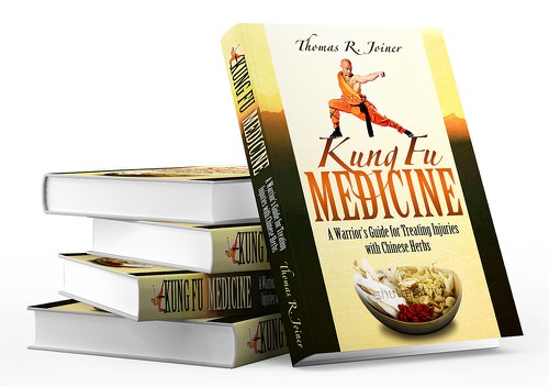 Kung fu design with the title 'Book cover design for Kung Fu professionals'