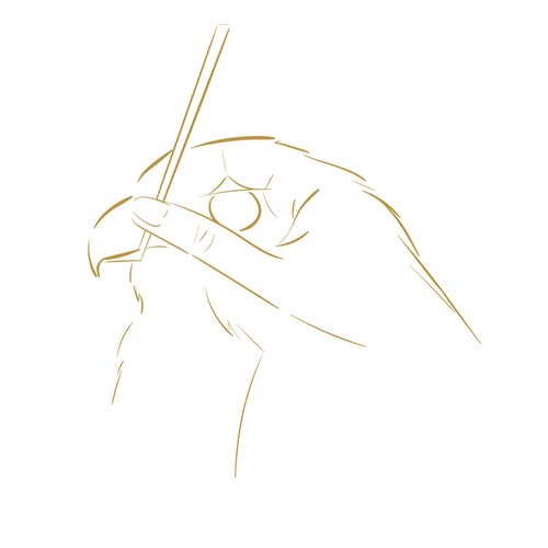 Falcon logo with the title ' For a company dealing with eyelash extension business'