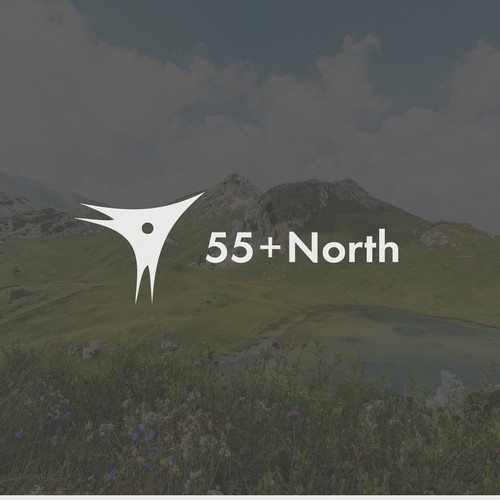 Drone logo with the title 'Logo for Drone Company'