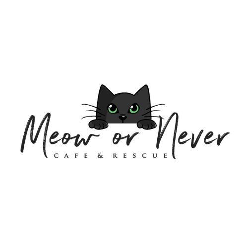 Gray logo with the title 'Meow or Never Cafe & Rescue'
