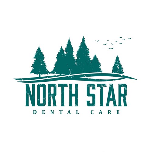 Vector art design with the title 'North Star Dental Care'