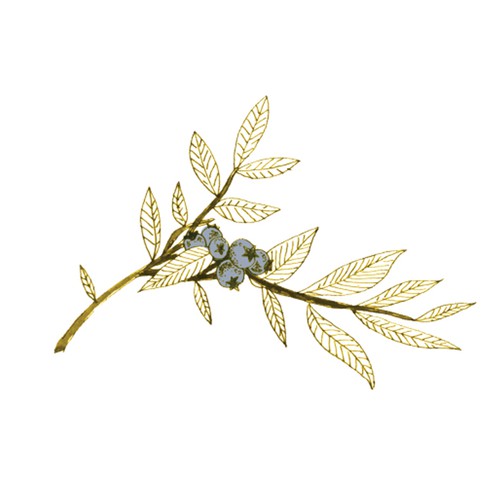 Plant label with the title 'Label design for Blueberry Wine'