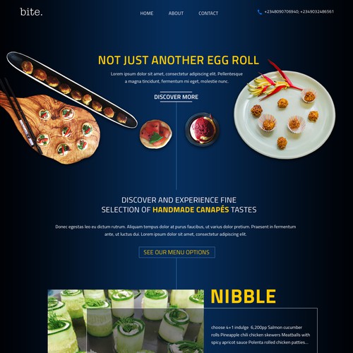 Dark blue design with the title 'Home Page'