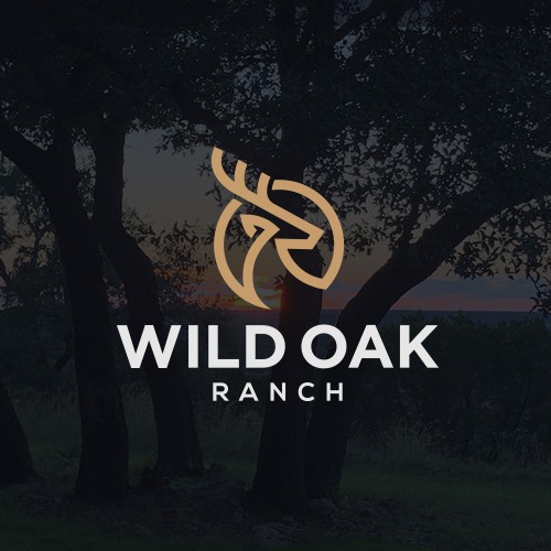 Family business logo with the title 'Modern-rustic family ranch logo needed'