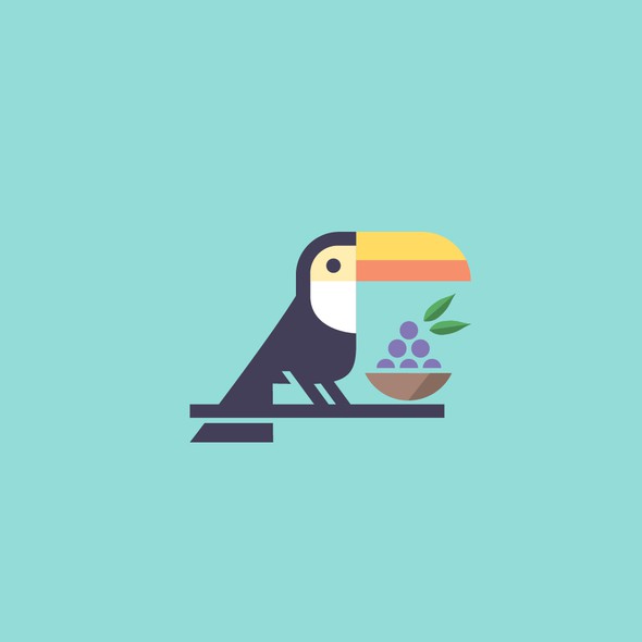 Toucan logo with the title 'LOGO DESIGN'