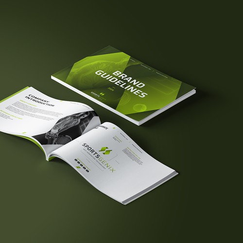 Style guide design with the title 'Logo & Brand Guide for sports'