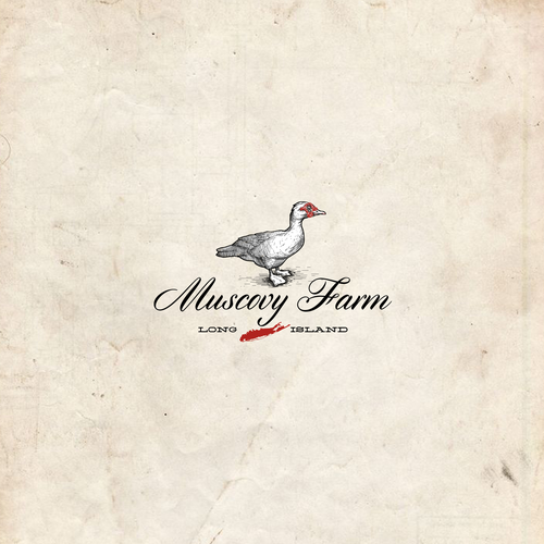 Duck logo with the title 'Muscovy Farm'