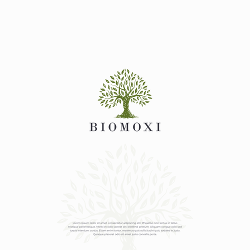 Beauty brand with the title 'Biomoxi'