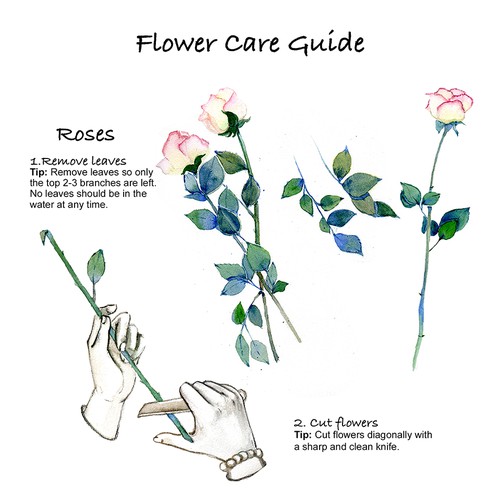 Hand-painted artwork with the title 'Flower Care'