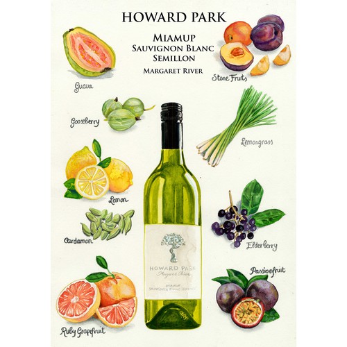 Fruit artwork with the title 'Watercolor illustration of white wine and flavours'
