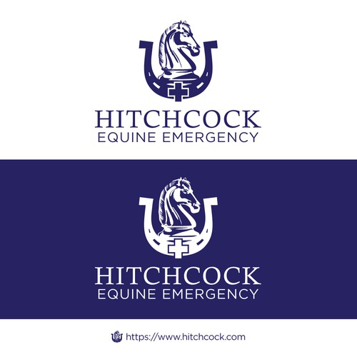 Knight on a horse logo with the title 'EQUINE EMERGENCY'