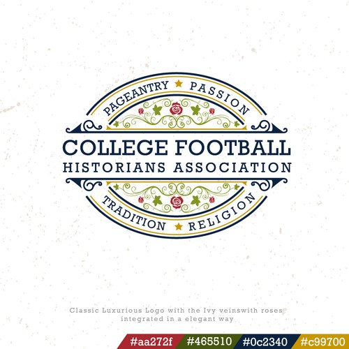 Swirl design with the title 'Emblem logo for American Football Association'