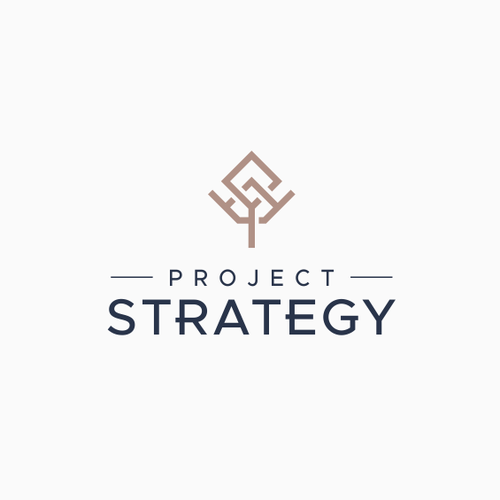 Brand logo with the title 'Project Strategy'