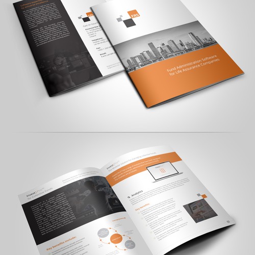Accounting design with the title 'Eye catching brochure needed for FRS - high tech financial services company'