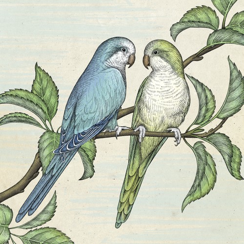 Natural design with the title 'Memorial illustration of parrot couple Pluto & Merlin.'